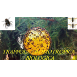Sfera Trap Trappola Cromotropica Per Mosche Insetti Dannosi Luminosa Colla
